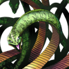 头像 八岐大蛇.png