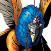 头像 金翅鸟.png