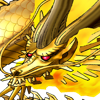 头像 黄龙.png