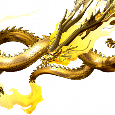 黄龙.png