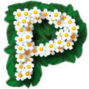 文件:Pikmin (game) icon.png