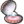 Pearly Clamclamp