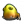 Yellow Wollyhop
