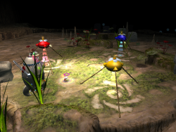 03 Site Forest Navel.png