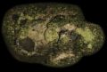 TFH map cropped.jpg
