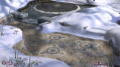 Valley of Repose preview.png