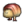 Breadbug