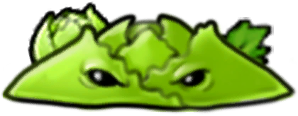 卷心菜地刺