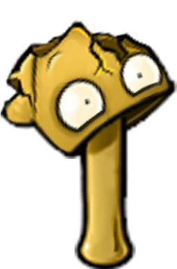 胆小坚果-立绘1.png