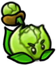 小卷心菜投手-立绘.png