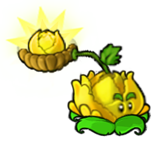 阳光卷心菜-立绘.png