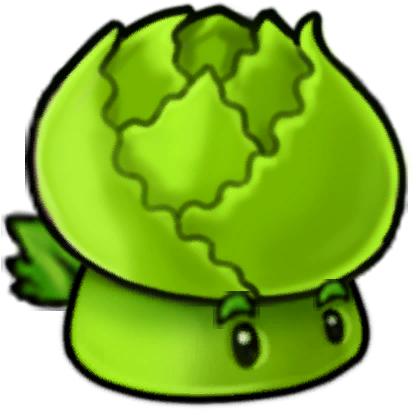 卷心菜乒乓菇-立绘.png