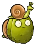 蜗牛坚果.png