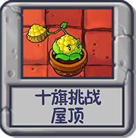 十旗挑战 屋顶.png