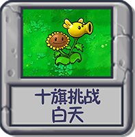 十旗挑战 白天.png