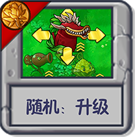 随机：升级.png