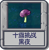 十旗挑战 黑夜.png
