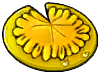 阳光睡莲-立绘.png