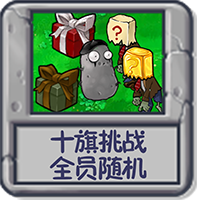 十旗挑战 全员随机.png