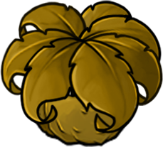 坚果保护伞-立绘.png