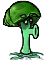 海螺胆小菇-立绘.png