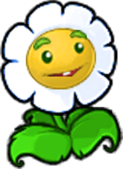 金盏花-立绘.png