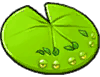 三线睡莲-立绘.png