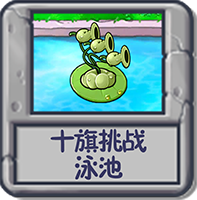 十旗挑战 泳池.png