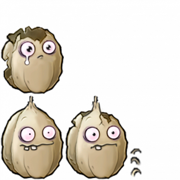 文件:大蒜坚果-拆解图.png