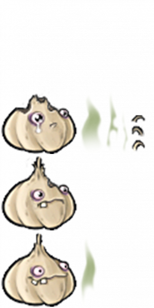 大蒜-拆解图.png