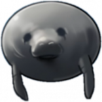 海牛.png