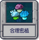 合理密植.png
