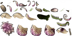 究极蒜神-拆解图.png