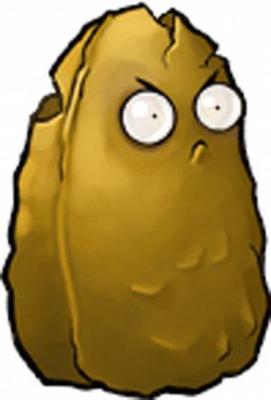 高坚果-立绘1.png