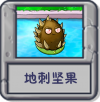 探索模式 地刺坚果.png