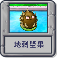 探索模式 地刺坚果.png