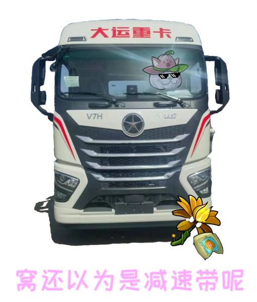 文件:窝还以为减速带呢.jpg
