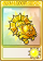 究极太阳神卷心菜-卡牌.png