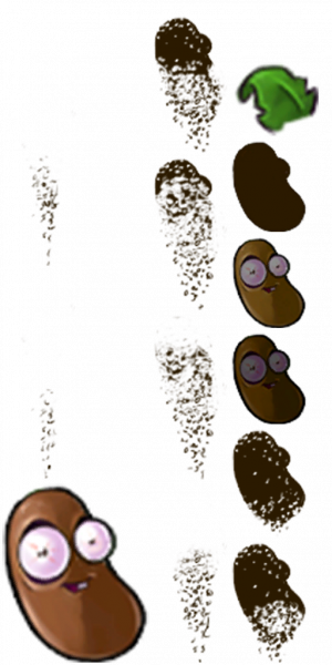咖啡豆-拆解图.png