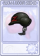 究极Z教授头盔-卡牌.png