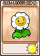 金盏花-卡牌.png