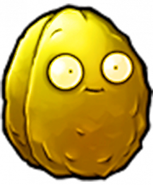 金坚果-立绘.png