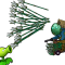 词条-先箭之明.png