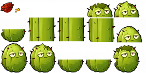 仙人掌坚果-拆解图.png
