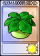 保护伞大喷菇