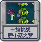 十旗挑战 胆小菇之梦.png