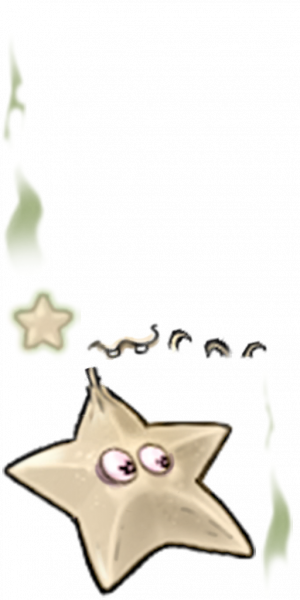 大蒜杨桃-拆解图.png