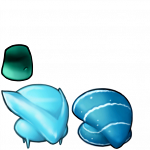 水盾菇-拆解图.png