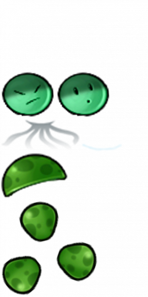 海叶草-拆解图.png