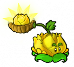 阳光卷心菜-立绘.png